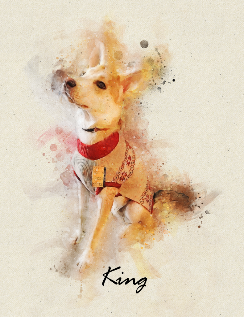 My dog King.
