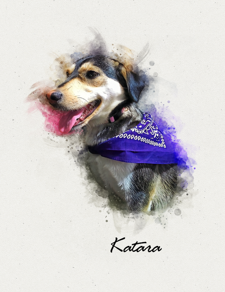 Obligatory ending Dog Picture.