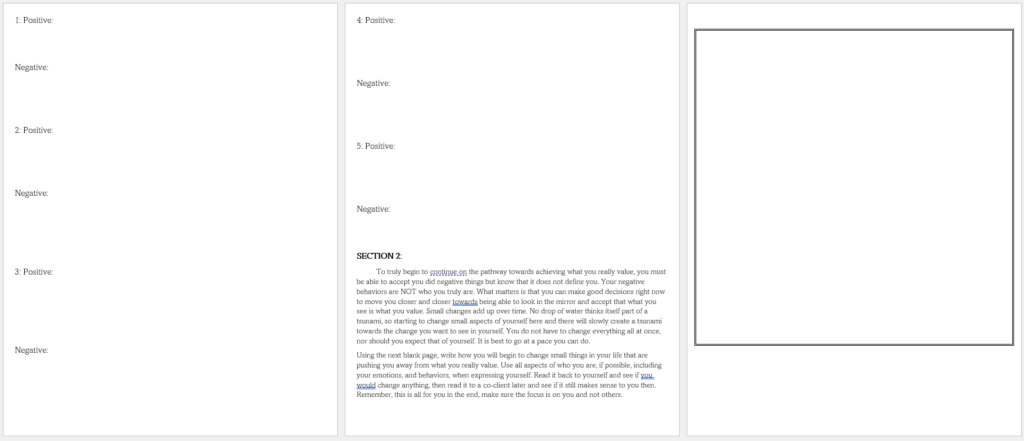 The second image of a handout for values.